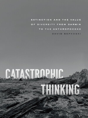 cover image of Catastrophic Thinking